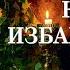 КАК ИЗБАВИТЬСЯ ОТ ПОРЧИ