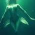 Siren Underwater Ethereal Ambient Music For Relaxation And Meditation