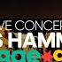 Unleash Your Soul Beres Hammond S Iconic Live Performance At Reggae Geel Festival