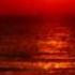 Nitrous Oxide Feat Aneym Follow You Nproject Remix