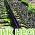 Dalik дона дона 100 икарат ралик нест