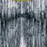 Sibelius The Bard Symphonic Poem Op 64
