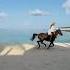 Horses On The Beach In Maldives Horsebackriding Maldives Adventure Travel Ocean Beach 1