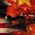 刘仲敬进阶十讲第二讲 文明的灰烬 中国在世界的位置
