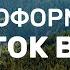 Лесной Участок подробная инструкция Как оформить большой участок в лесу Аренда лесного участка
