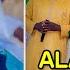 ALAN WAKA A WAJEN WASAN SALLAH A GIDAN SARKIN KANO PART 1