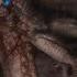 Is Doom Dark Ages Worth Buying