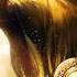 Audiomachine Apollo S Triumph Epic Beautiful Cinematic Electronic