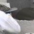 Repair A Plumbing Hole In A Stucco Wall