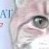 Keyboard Cat For President