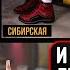 Яна Сибирская Мама я не сдала ЕГЭ Автор музыки Как пришла популярность
