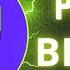 ВЫВОД BERRY ИЗ PIXELS
