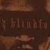 Chris Brown Holy Blindfold AUDIO