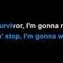 Tim Halperin Survivor Karaoke
