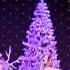 Зимний Бал с TV START 2013 коллектив Fantasy г Буча Метелица