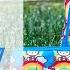 Ju Ju Be HELLO RAINBOW Mini Be Be Dapper Packing Collab Perpetual Mommy