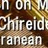 A Flower Studded Sake Dish On Mt Ooe Touhou Chireiden Subterranean Animism Music Box