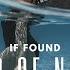 If Found Dead Of Night NCS Release