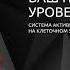 запись вебинара Мечты Желания Достижение целей 1 часть