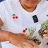SUCCULENTS WITH BEAUTIFUL COLORS Planting And Beautifying The Succulent Collection