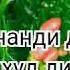 Ба монанди дили худ дил наёби
