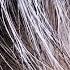 GRAY HAIR REVERSAL BOOSTER