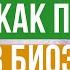 Как почувствовать ЭНЕРГИЮ Как поверить в БИОЭНЕРГИЮ человека Александр Громовой