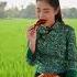 Harmony On A Plate Traditional Flavors Served With A Smile In Nature S Embrace Cambodianfoodtour