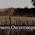 Иброхим Асири Сура Абаса
