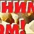 С добрым весенним утром Смотри природа просыпается Музыкальная открытка