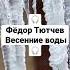 Фёдор Тютчев весенние воды