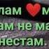 Ба шахсе аз ишқ шикаст хӯрдааст дил мадеҳ