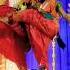Thaga Thagavena Adava Shorts Video Sivarathri Shorts
