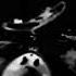 CREEPY And Upside Down And Reverse Fisheye And Neon And Deep Voice Gummy Bear Song