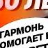 ИГРАЕТ НА ГАРМОНИ ЛУЧШЕ ПРОФЕССИОНАЛА ЭЛЬДАР ШАРИФУЛИН ВЛАД ШУМКИН
