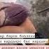 Барои дил шикастахо