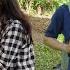 Silent Love The Pain Of Two Women The Kind Man Decided To Go To Work To Earn More Income