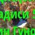 Китоби Лу лу вал Марҷон Шарҳи ҳадисҳои Бухори ва Муслим Ҳадиси 53ум Бузургтарин Гуноҳон кадомандАб
