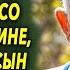 Старик не хотел оставаться со снохой наедине а однажды сын увидел шокирующее