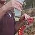 Cascade Single Helix DNA Hummingbird Feeder
