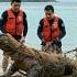 Komodo Dragon Rescued From Fisherman Net Daring Ocean Rescue Shorts Animalrescue Love Wildlife