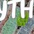 Gardening Doesn T Always Go To Plan Allotment Gardening UK Gardening Gadgets