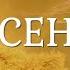Осень Осенняя зарисовка Осеннее настроение