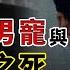 英俊 智商147 卻成了富人男寵 父親說他是個做大事的人 結果他幹掉了范思哲