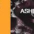 ASHER SWISSA Feat JIGI I M Not There Original Mix Reborn Music