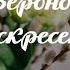 МУЗЫКАЛЬНАЯ ОТКРЫТКА ВЕРБНОЕ ВОСКРЕСЕНЬЕ ПОЗДРАВЛЕНИЕ С ВЕРБНЫМ ВОСКРЕСЕНЬЕМ