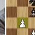 Шведский Тигер перекатывает Карлссона как мальчишку Шахматы