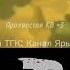 Бич коты воители Эдит возрадимрукв котывоители эдит бич Warriorcats