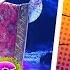 WHAT A BEAUTY Диана Анкудинова California Dreamin Masked Singer Show Diana Ankudinova Reaction