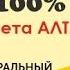 Мед Липовый дальневосточный Чем полезен Липовый мёд Где купить настоящий Липовый мед